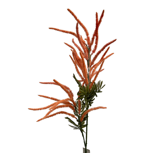 Amaranthus Spray LB082-OR