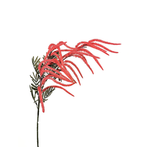 Amaranthus Spray LB082-RED