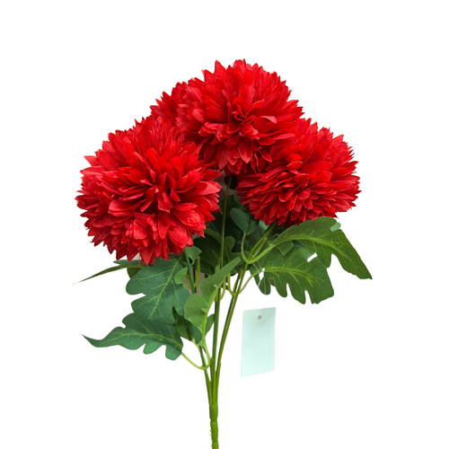 Chrysanthemum LB083-BRD