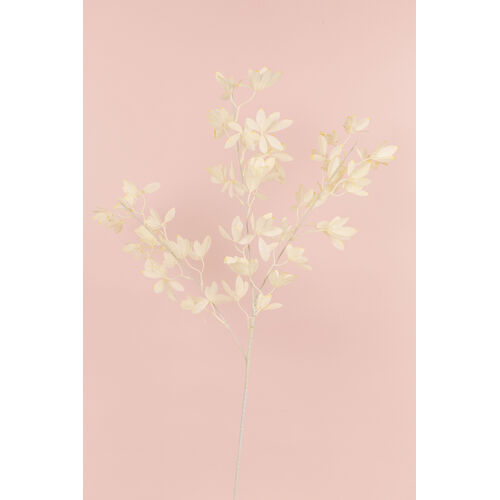 Grass Spray LB100-CR