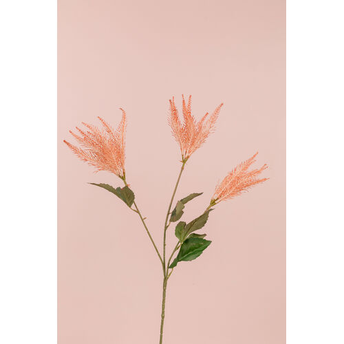 Textured Grass LB102-PEACH