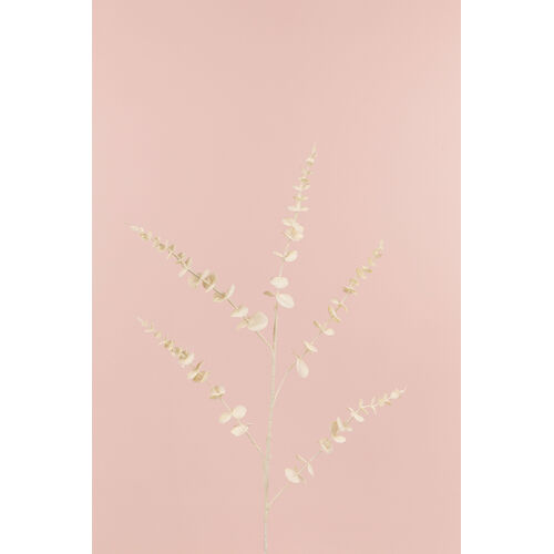 Eucalyptus Spray LB103-CRM