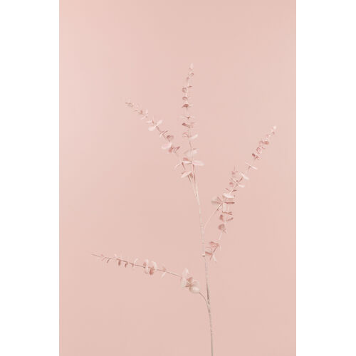 Eucalyptus Spray LB103-PNK