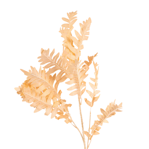 Skeleton Fern Spray LB107-PCH