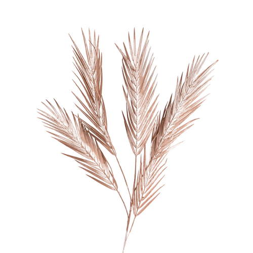Palm Leaf spray LB109-BGLD