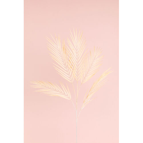 Palm Leaf spray LB109-CRM