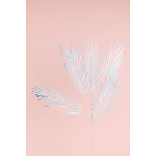 Palm Leaf spray LB109-LTBL