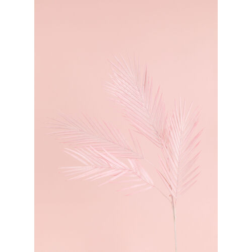 Palm Leaf spray LB109-PNK