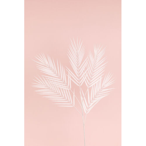 Palm Leaf spray LB109-WHT