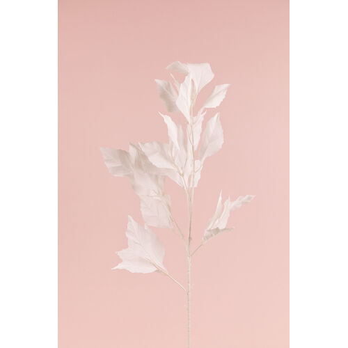 Tall Leaf Bush LB110-WHT