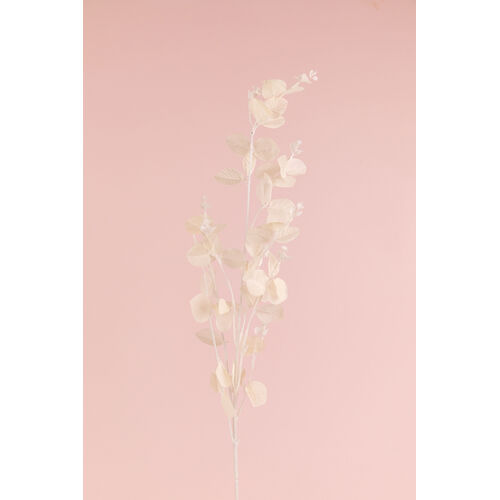 Pastel Eucalyptus LB112-WHT