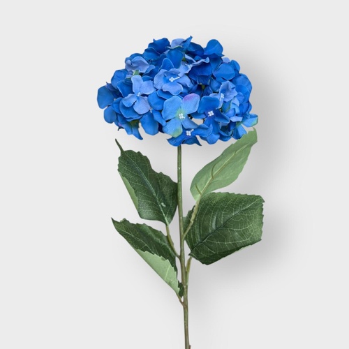 Hydrangea LB128-DBL