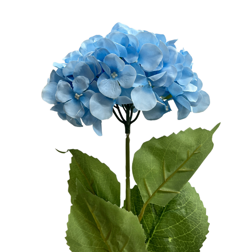 Hydrangea LB128-LBL