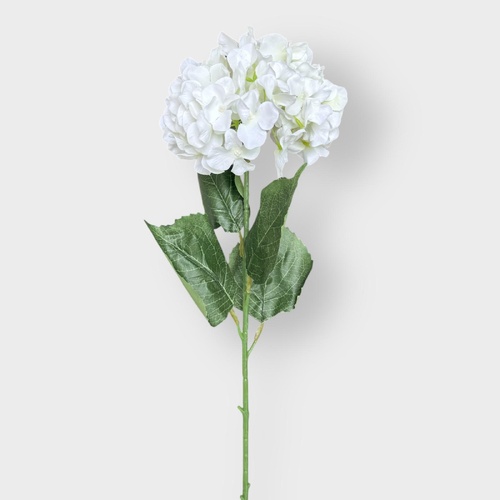 Hydrangea LB128-WH