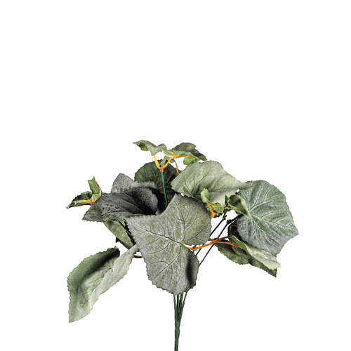 IvyBunch LT0001-GRYGRN