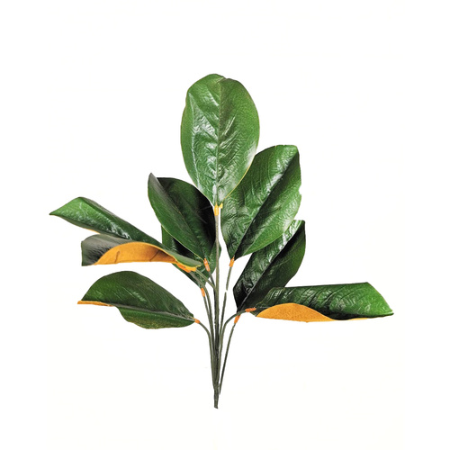 Magnolia Leaves Spray LT0005