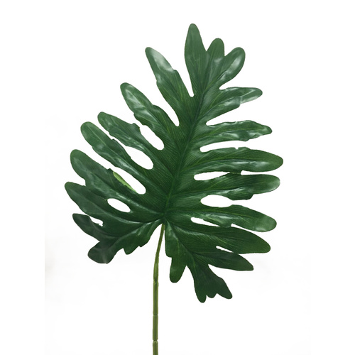 Split phylo LX0014