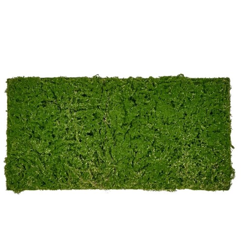 Moss Mat 100x50cm