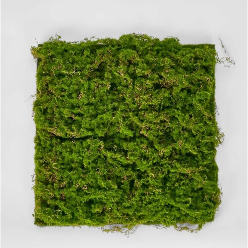 Moss Mat M97GR