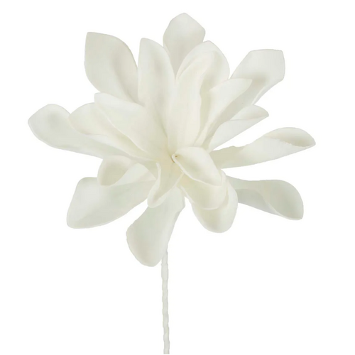 Fantasy Magnolia M97W