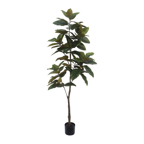 Real touch Magnolia tree 1.7