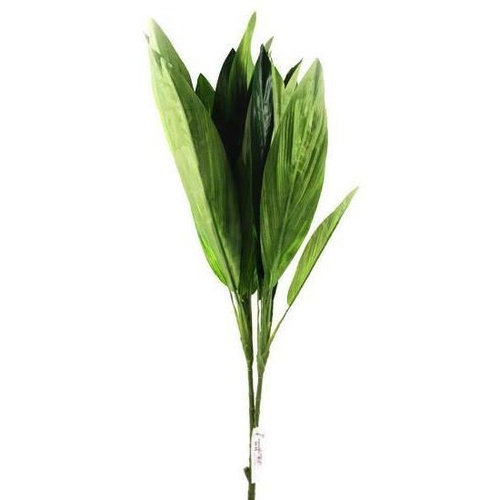 Dracaena Leaf Bunch MX110801-01_GR