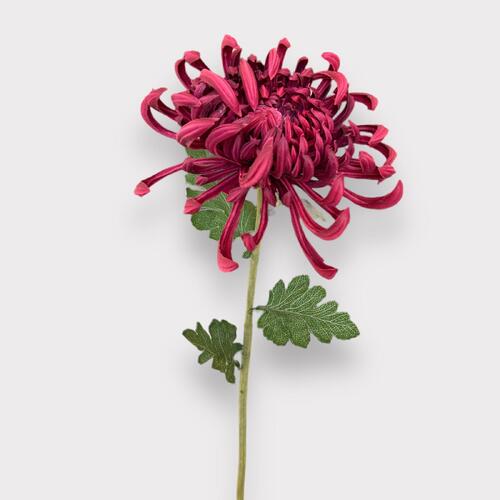 Real Touch Spider Chrysanthemum MXFM01300-RD