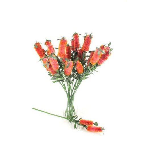 Double Bottlebrush N-B-01_RD