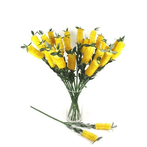 Double Bottlebrush N-B-01-YEL