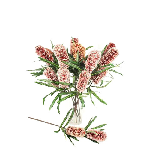 Double Banksia Spray N-DB-06-BR
