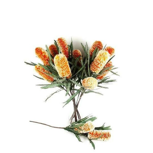 Double Banksia Spray N-DB-06-OR