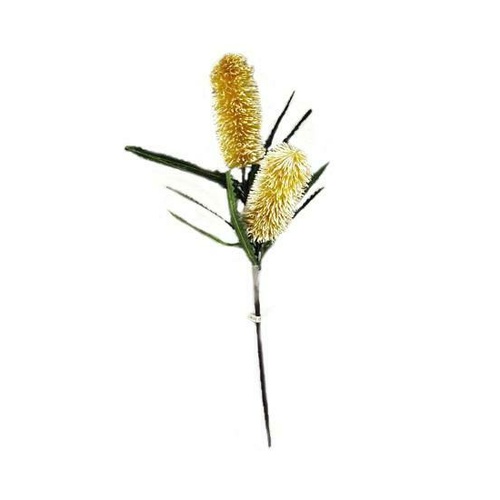 Double Banksia Spray N-DB-06