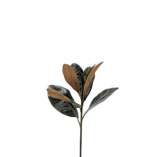 Magnolia Leaf Spray N-MS-01