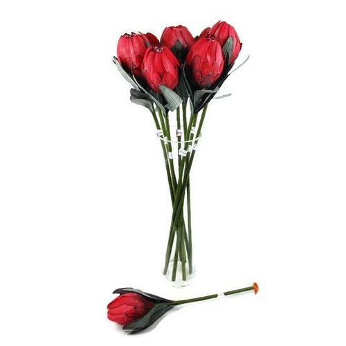 Pink Ice Protea N-P-07