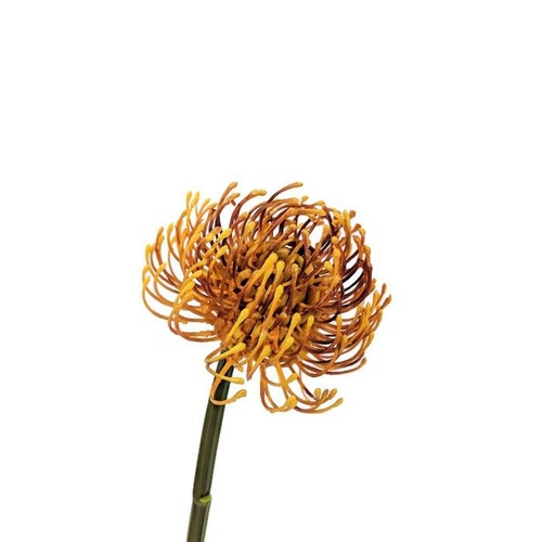 Pincushion Orange N-PC-05