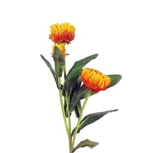 Paper Daisy Spray N-PD-01