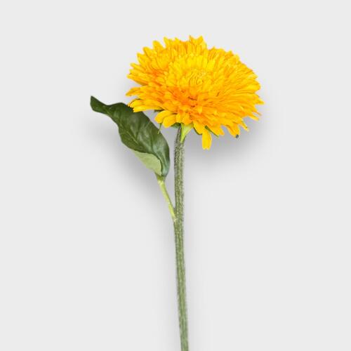 Single Paper Daisy N-PD-05-OR