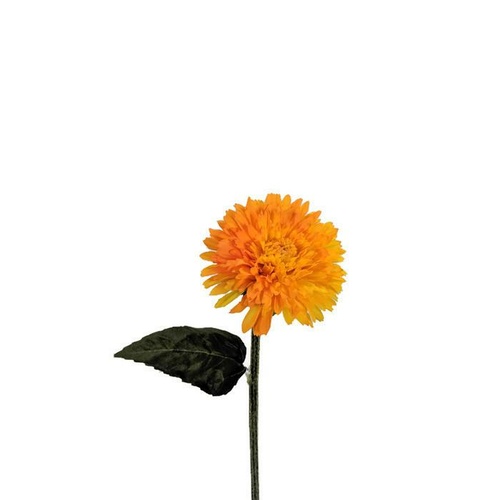 Single Paper Daisy N-PD-05-OR