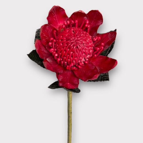 Medium size Real Touch Waratah N-W-01