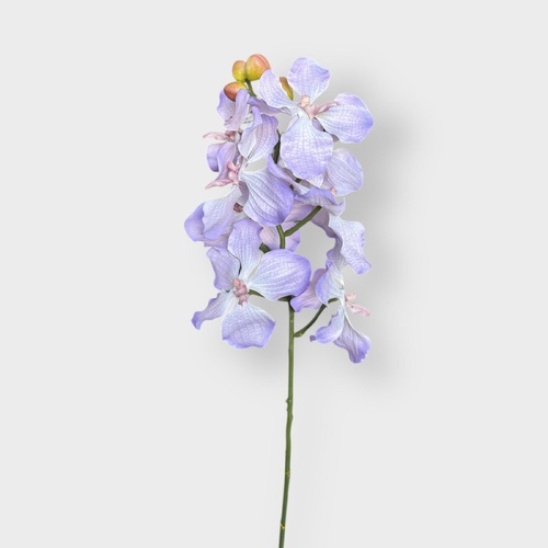 Dendrobium Orchid Spray O128LP