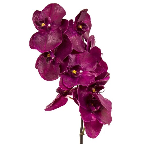 Real Touch Phalaenopsis orchid O26BU