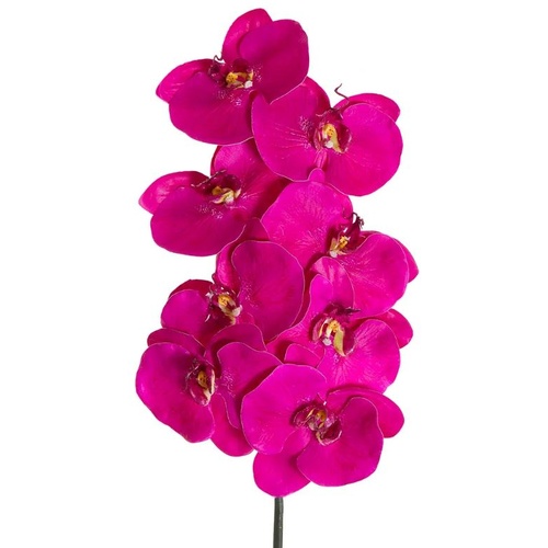 Real Touch Phalaenopsis orchid O26MV