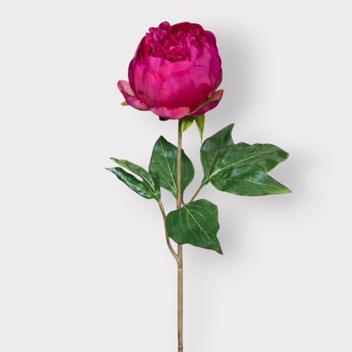 Peony Half Open P143FU *