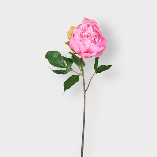 Peony Half Open P143P