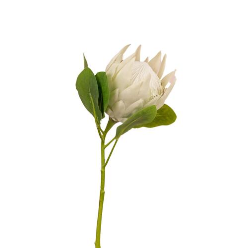 Protea King P150W