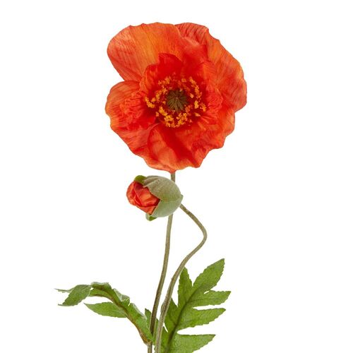 Large Poppy Spray P170OR