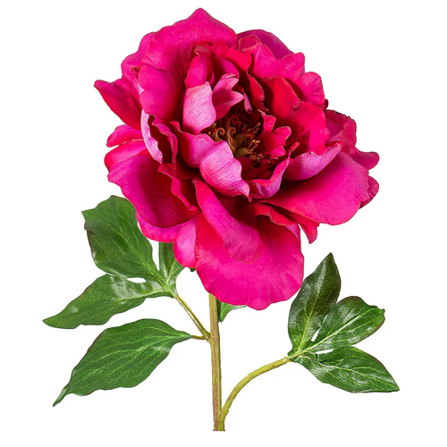 Peony Spray P193DP