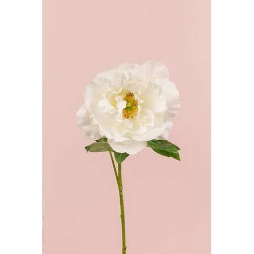 Peony Spray P193W