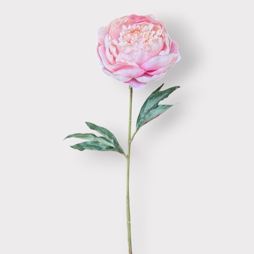 Peony Half Open P205P ^