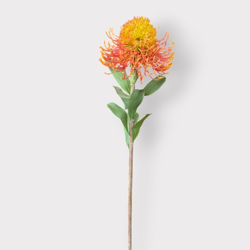 Pincushion P213O